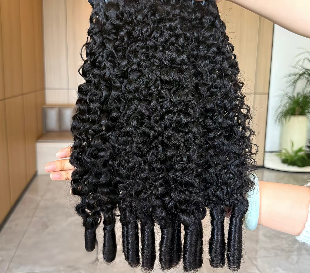 Burmese Curly
